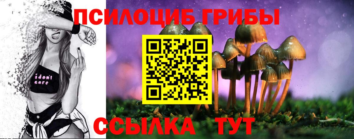 Галлюциногенные грибы Psilocybe  Псилоцибиновые грибы Cubensis  Чебаркуль  Вход с VPN 