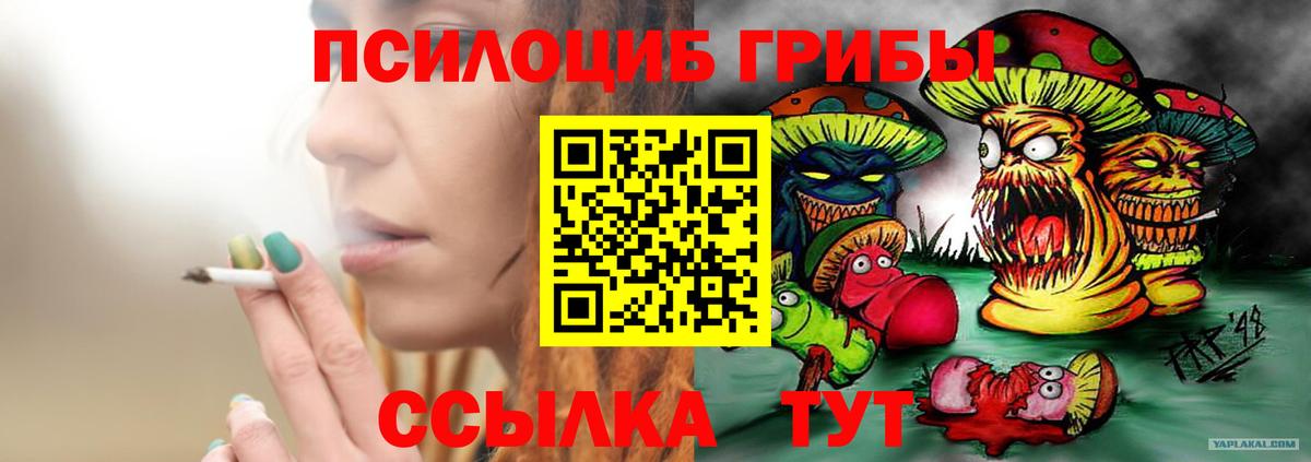 Галлюциногенные грибы мицелий Чебаркуль